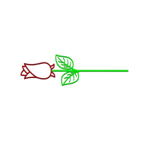 Rose — photo 5