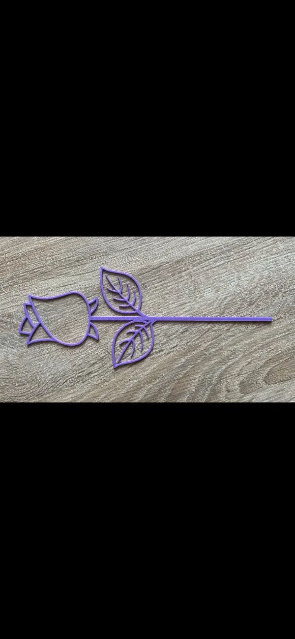 https://makerworld.bblmw.com/makerworld/model/US9b0601120ebc66/design/2024-01-23_1d04ad9a38d7c.png