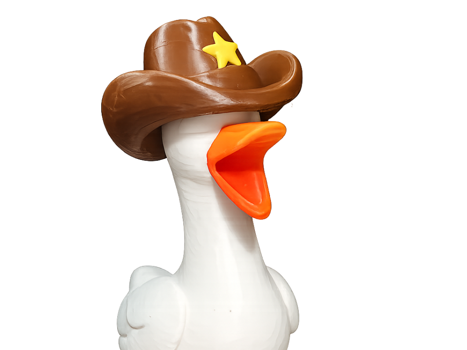 Loudmouth Linda: Western Accessories| Desk Goose