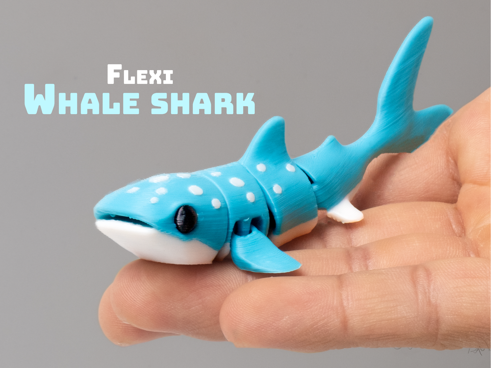 Flexi Whale Shark