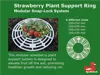 All Strawberry Plant Support Rings in one print profile