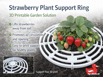 Strawberry Ground Lift
