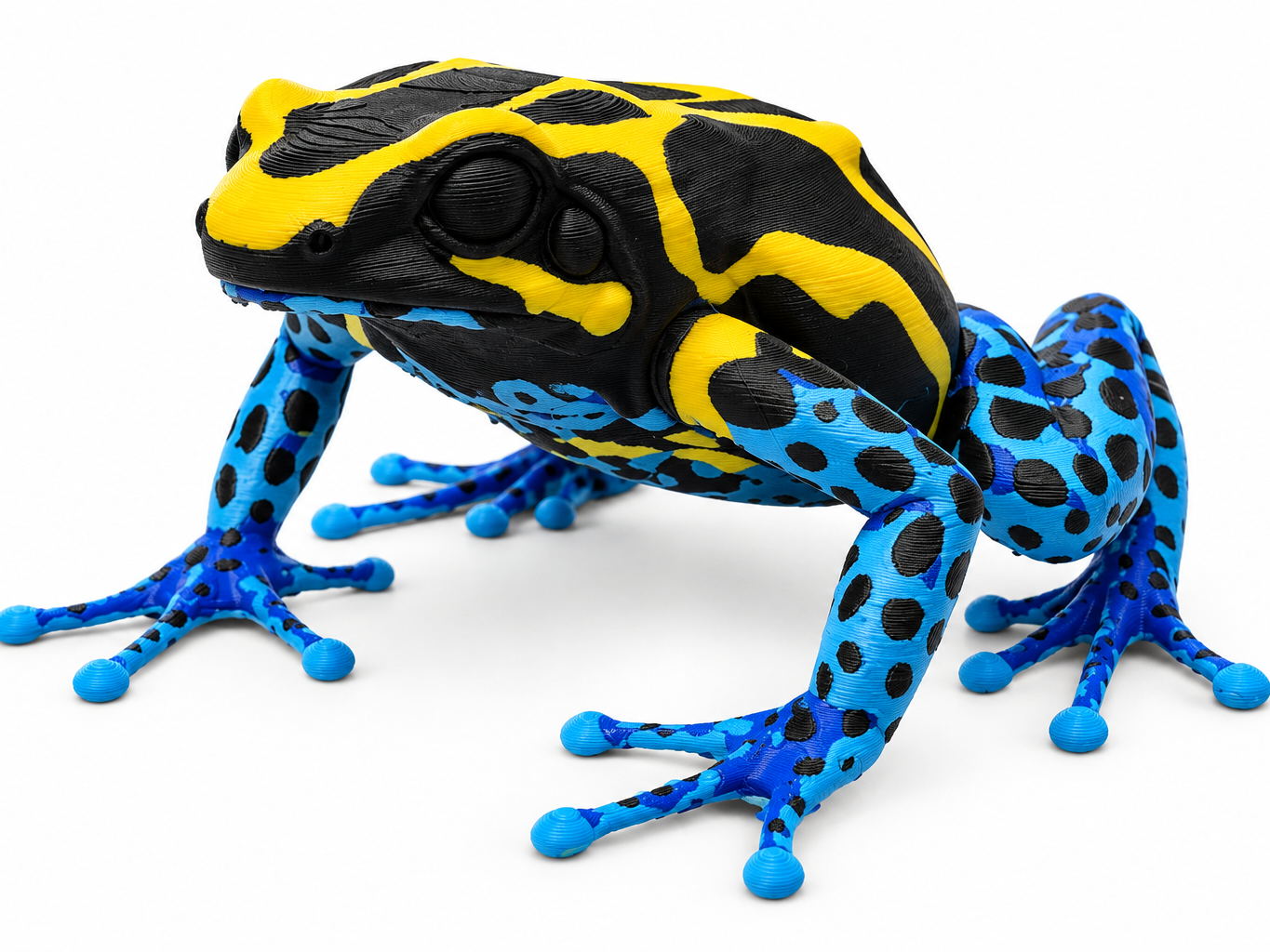 Golden Poison Dart Frog