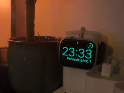 Portable / small Apple Watch charger