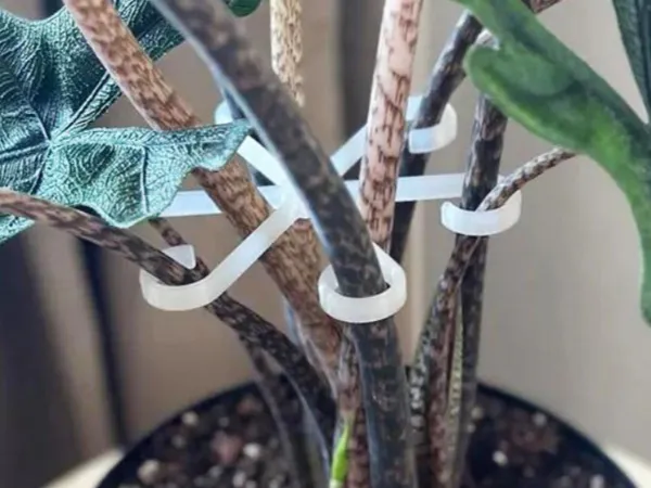 Crochet fleuriste (support pour plantes)