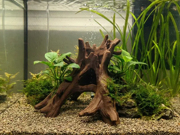 https://makerworld.bblmw.com/makerworld/model/US9b13cd5be078eb/design/2025-12-14_38e35dedca7d6.png
