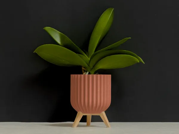 https://makerworld.bblmw.com/makerworld/model/US9b14481b4e5aee/design/2025-02-07_c75894565c867.jpeg