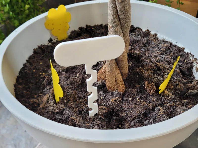 plant and garden name tag