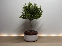 Diameter 6,5 cm/ 2.55 in, Height 4 cm/ 1.57 in