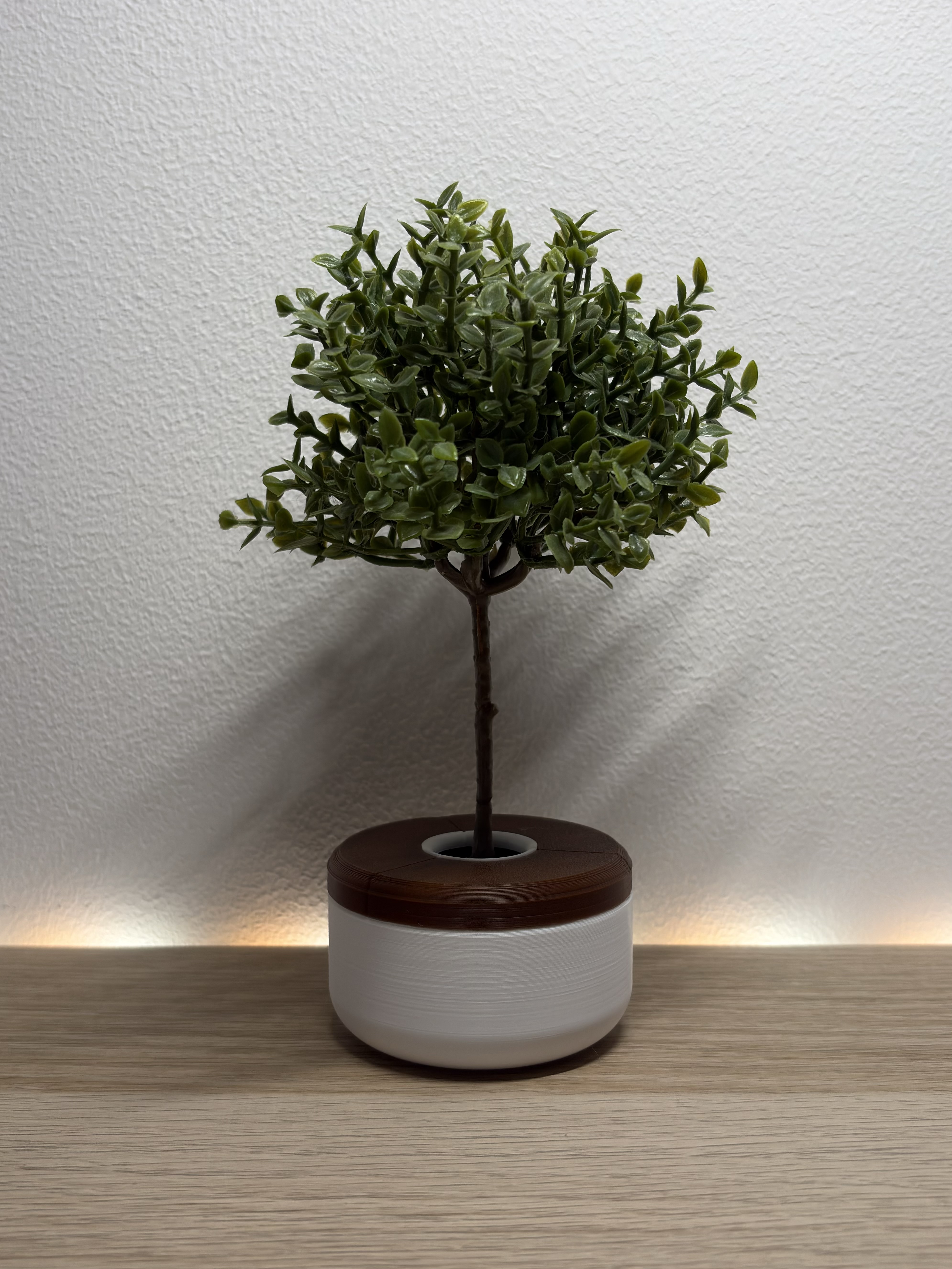 Miniatura 2 do modelo 3D Apple Store Tree Pot