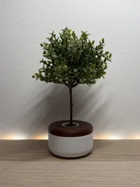Diameter 8 cm/ 3.15 in 