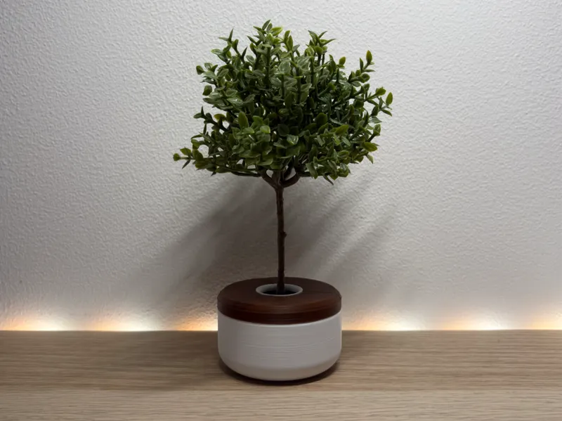 Apple Store Tree Pot