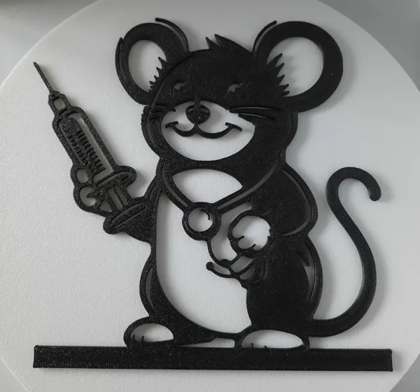 https://makerworld.bblmw.com/makerworld/model/US9b23afa85823ea/design/2024-12-15_850005f630402.jpg