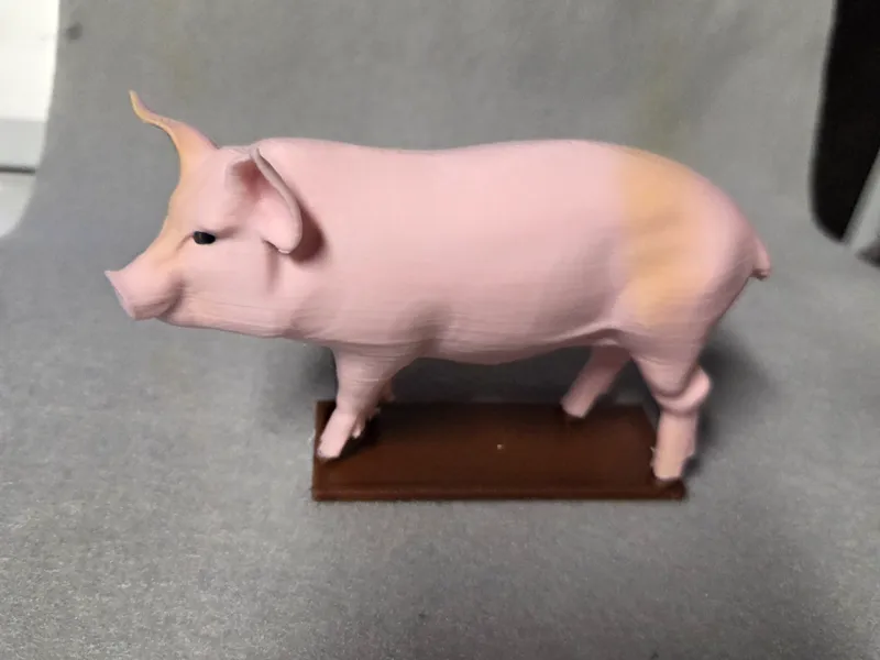Pig