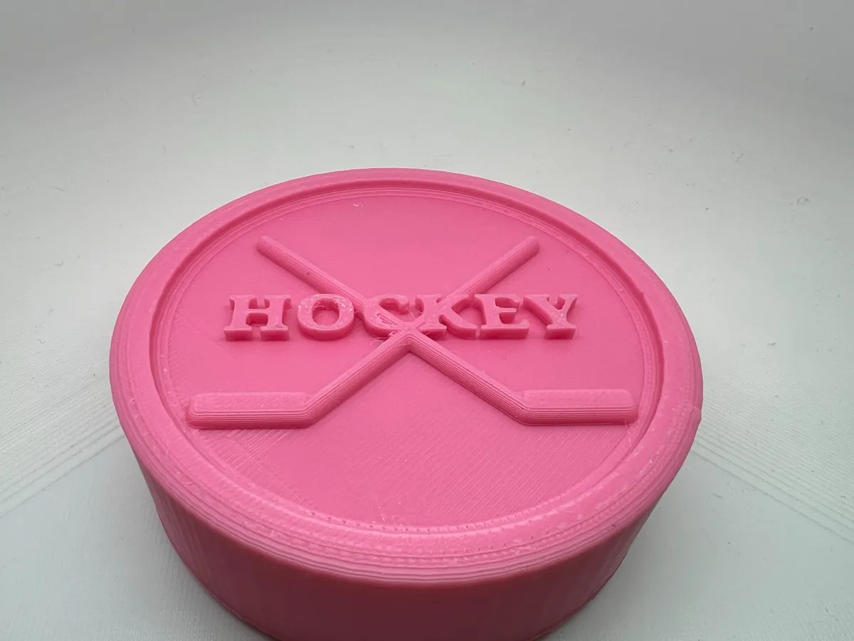 Palet de hockey de rue