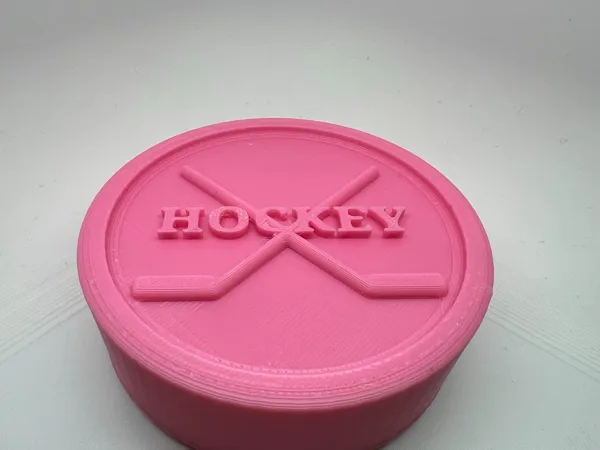 Palet de hockey de rue
