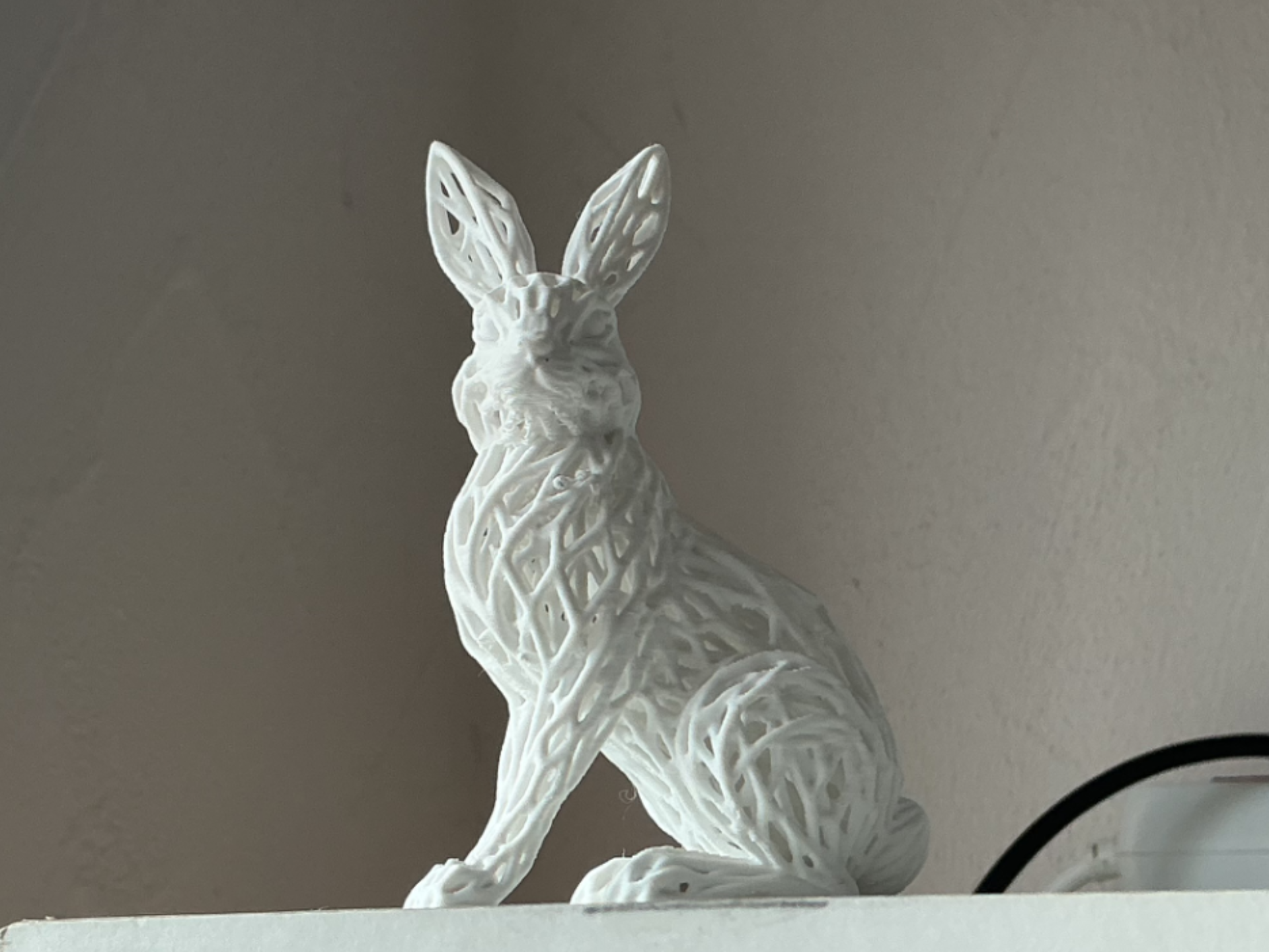 Voronoi Hase  
