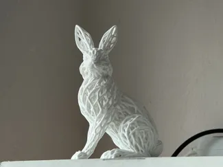 Voronoi Hase