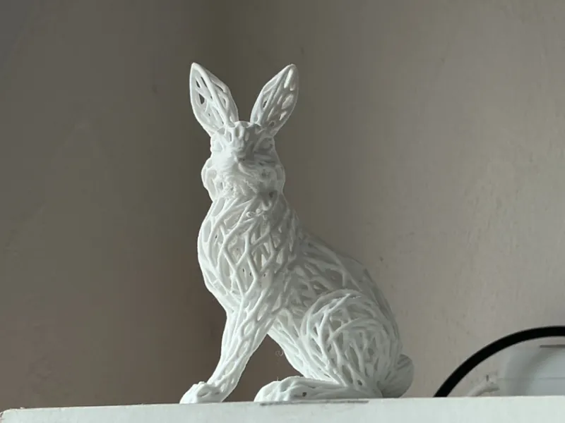 Voronoi Hase