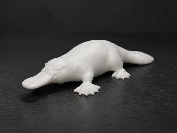 https://makerworld.bblmw.com/makerworld/model/US9b28e734bfed04/design/a643b7a251e7b14b.png