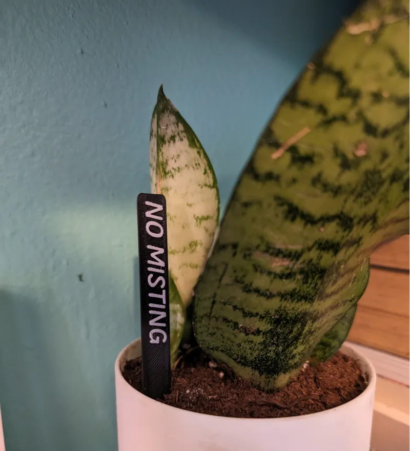 Indoor Plant "No Misting" Sign