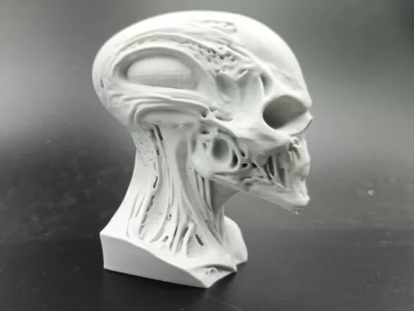 https://makerworld.bblmw.com/makerworld/model/US9b2a33260cdf21/design/2025-03-29_3bc003bf7a516.jpg