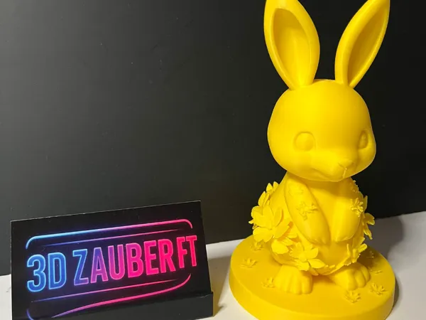https://makerworld.bblmw.com/makerworld/model/US9b2b0e4cab5af4/design/24337785a8190e80.jpeg