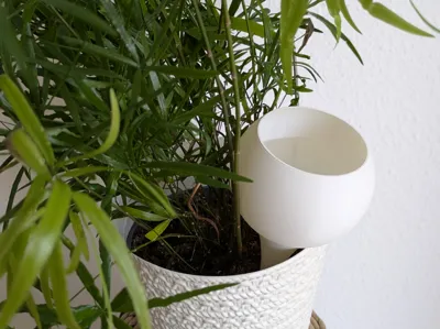 Plant-Watering-Globe ->*VaseMode*<-