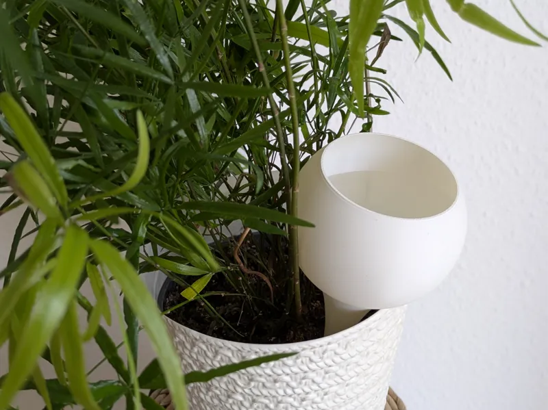 Plant-Watering-Globe ->*VaseMode*<-