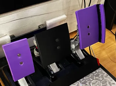 Thrustmaster T-lcm pedal faces