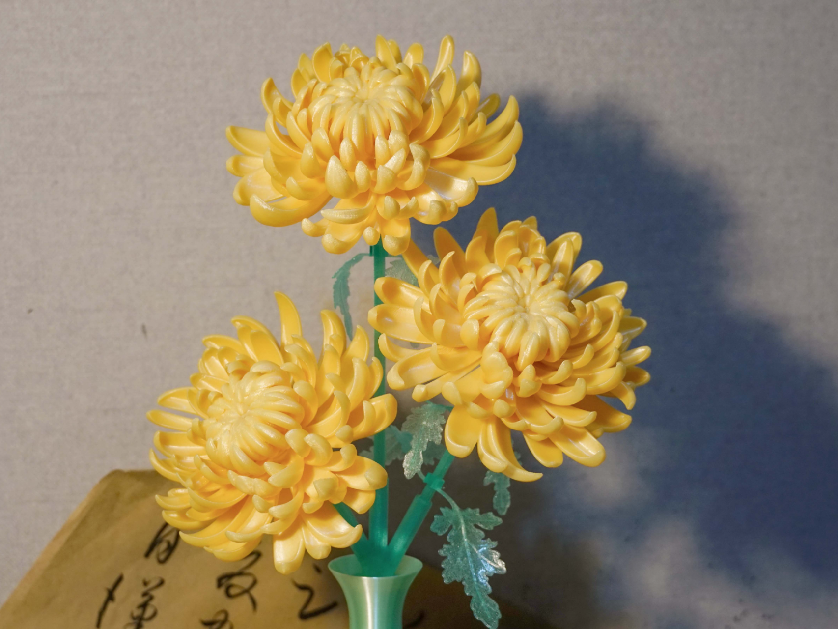 菊花 - 1