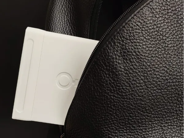 Étui compact à serviettes hygiéniques pour sac à main