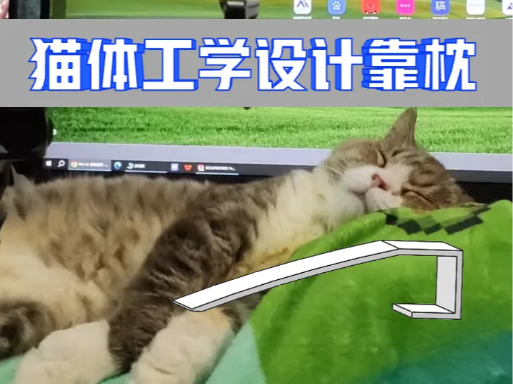 猫体工学设计靠枕抬高架，猫咪枕头