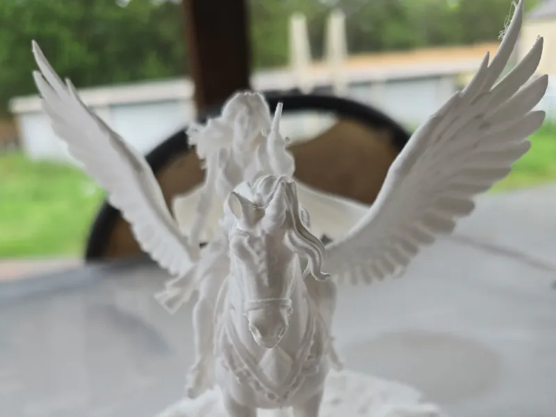 Woman on Unicorn