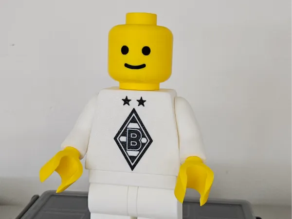 https://makerworld.bblmw.com/makerworld/model/US9b3d533bf316b4/design/2025-06-03_3d71779fad88f8.jpg