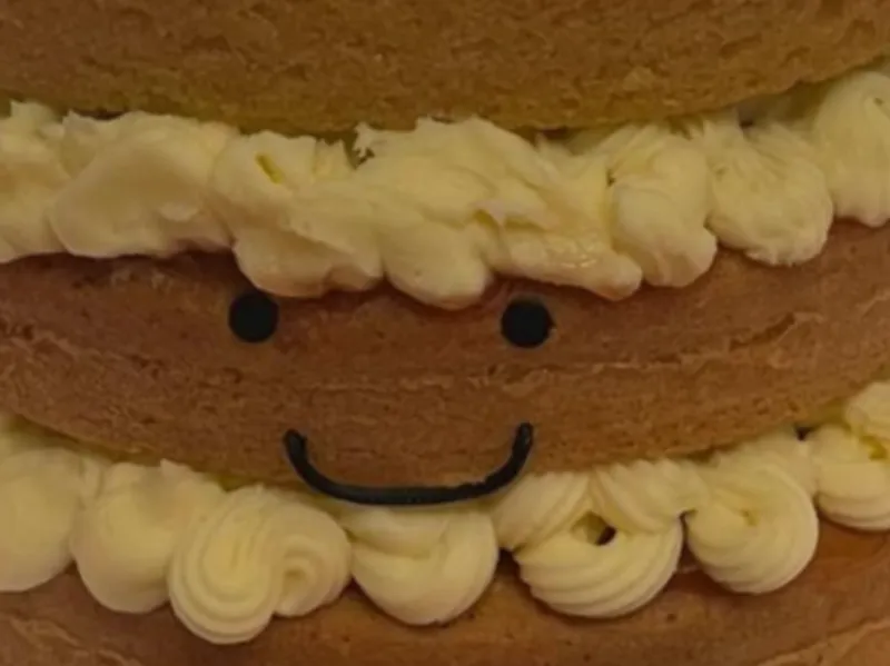 Mouth and eyes for JellyCat birthday cake
