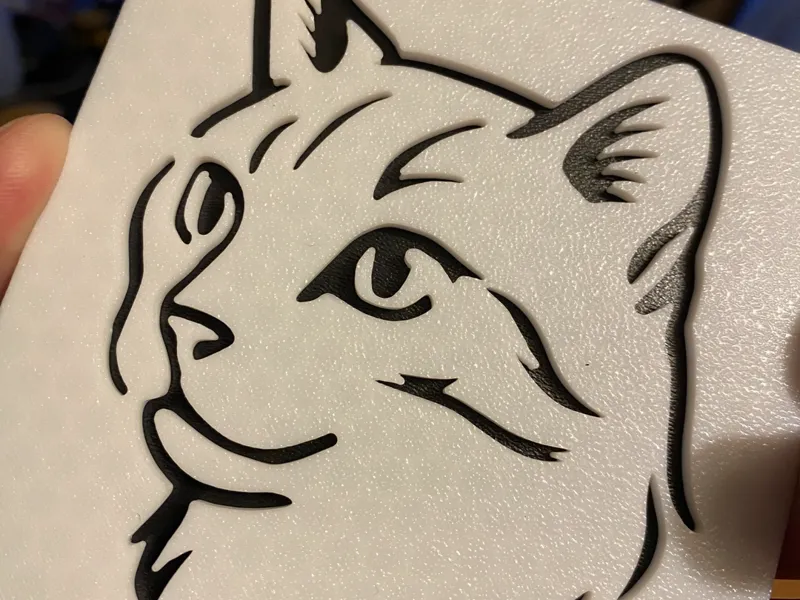 Cat coaster