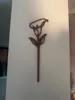 Calla Lily with No Text