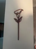 Calla Lily with No Text