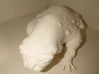 Crapaud du Colorado sculpté — photo 4
