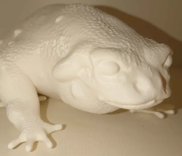 Crapaud du Colorado sculpté
