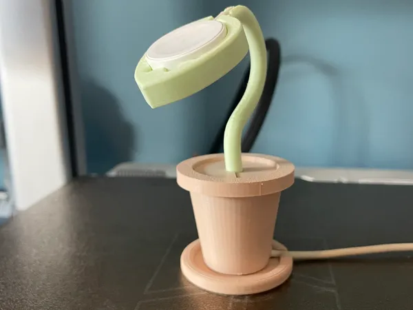 https://makerworld.bblmw.com/makerworld/model/US9b44a3a21a58e0/design/2026-01-18_2ab1d0e4c01c7.jpeg