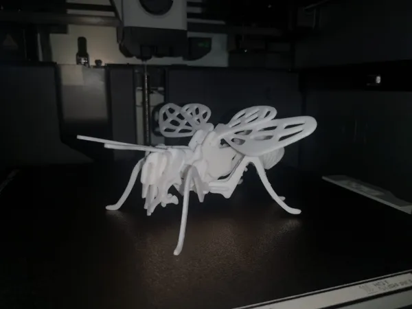 https://makerworld.bblmw.com/makerworld/model/US9b4a6a6ae6f015/design/2024-03-17_94f4bd4eb3717.jpg