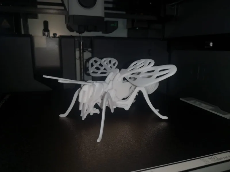 Bee_3D