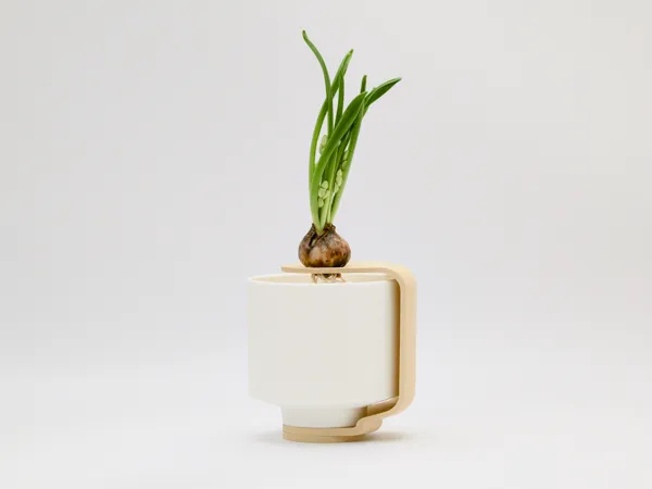https://makerworld.bblmw.com/makerworld/model/US9b4d43f07ea10c/design/2025-03-12_52bb1d7de9677.jpg