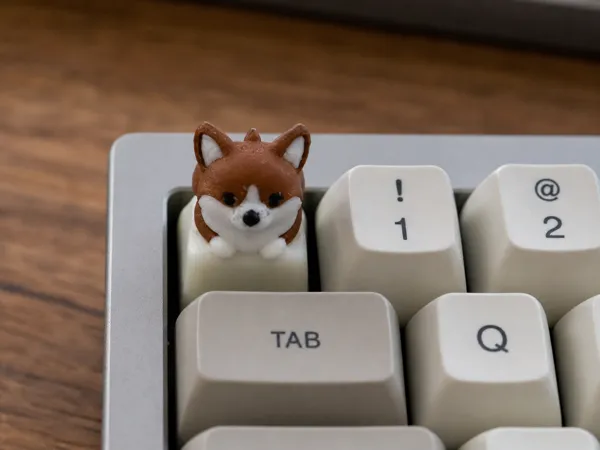 https://makerworld.bblmw.com/makerworld/model/US9b52059d279f3d/design/2211eacec5183b43.png