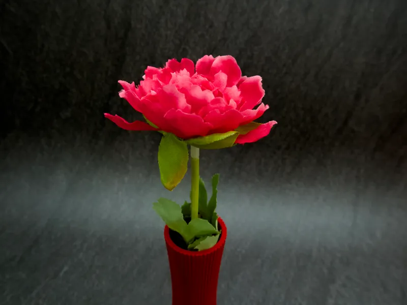 Vase (extravagant)