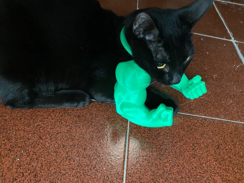 Hulk arms on cat