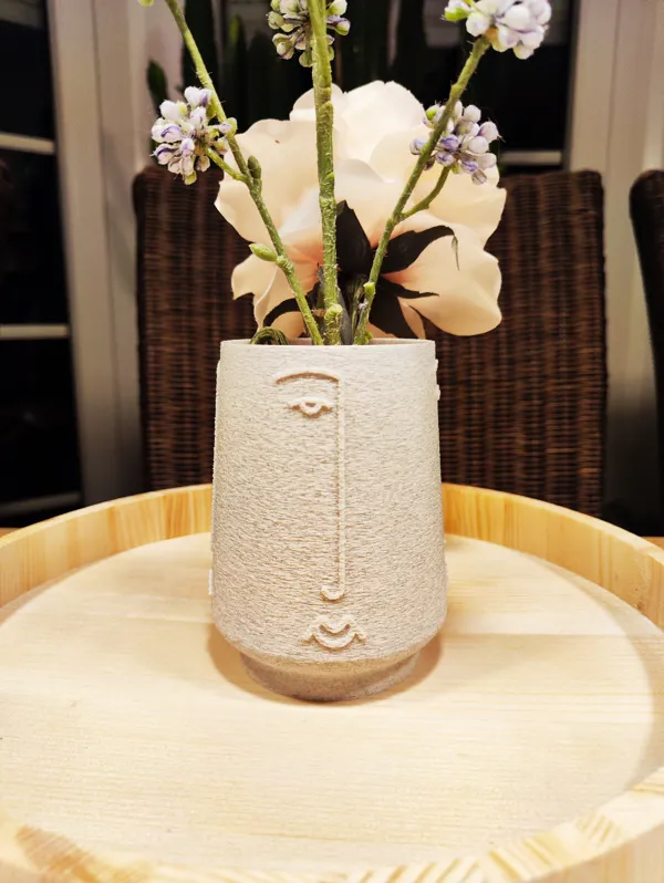 https://makerworld.bblmw.com/makerworld/model/US9b5cc5b1a72da2/design/2024-09-04_393d9330012818.jpg