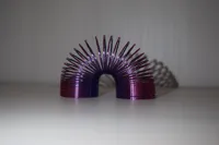 Slinky — photo 2
